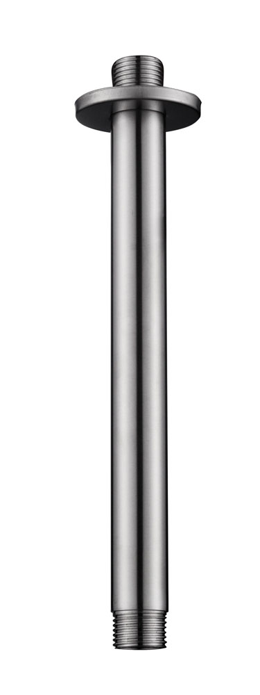 304 douchearm met plafondbevestiging rond 20 cm geborsteld RVS