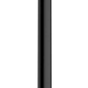 29.2810.jpg UniMatch douchearm met plafondbevestiging 20 cm mat zwart