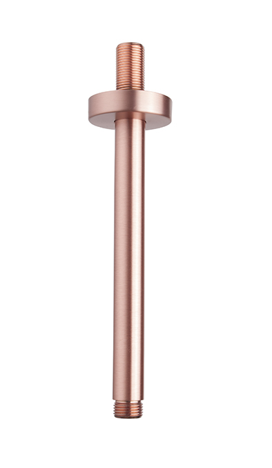 29.6810.jpg UniMatch douchearm met plafondbevestiging 20 cm geborsteld koper
