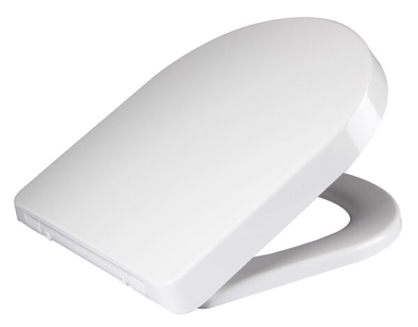 32.3778.jpg Deeline toiletzitting softclose en quick release glans wit